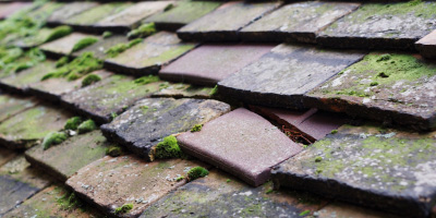 Arlington roof repair costs